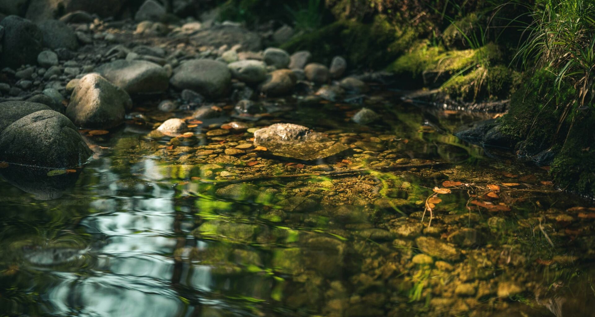 Penn State Extension to Host Budget-Friendly Stream Repair Workshop
