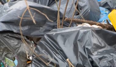 Philadelphia woman’s home surrounded by illegal dumping sites – NBC10 Philadelphia