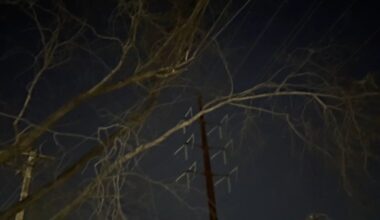 Power returns for Pa. borough Wednesday after tree falls – NBC10 Philadelphia