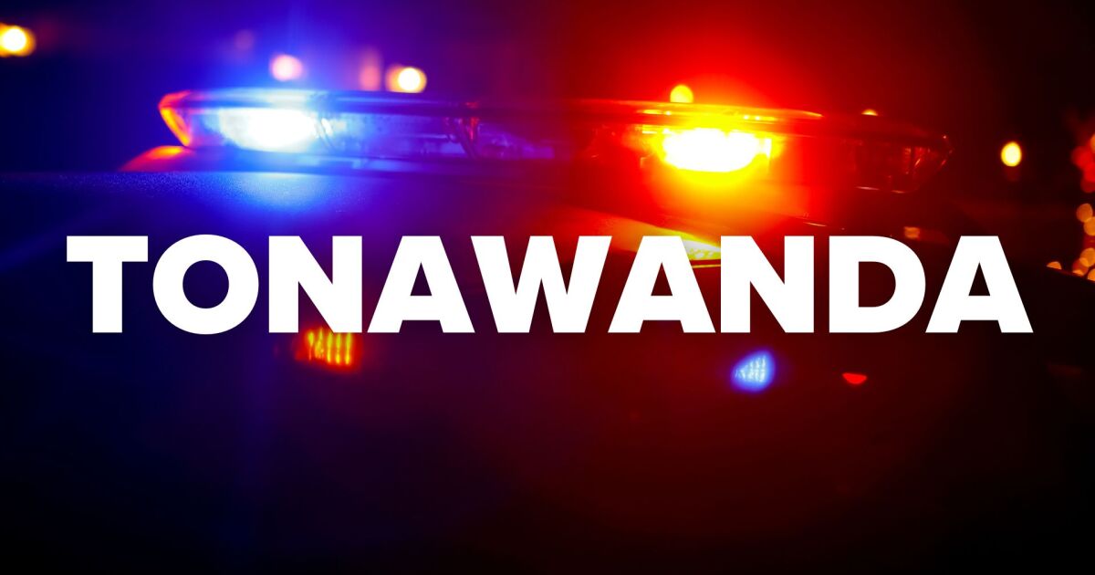 Man dies after jumping into Erie Canal during police pursuit