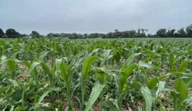 Nine buildings, 268 apartments: Bethlehem Twp. clears path for complex on William Penn Highway