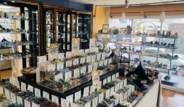 GEMeral Store opens in Bethlehem with rare stones from around the world, mounted tarantula