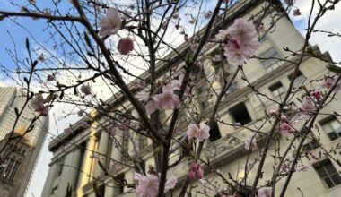Crowd gathers in Downtown Pittsburgh, part of nationwide 'No Kings' rally