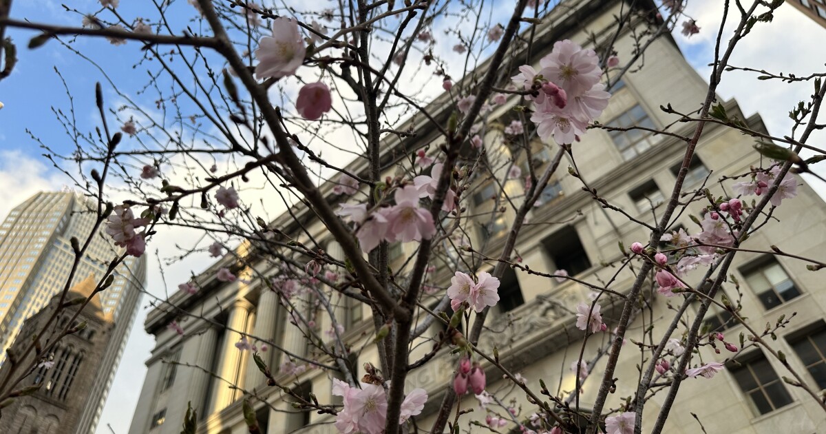 Crowd gathers in Downtown Pittsburgh, part of nationwide 'No Kings' rally