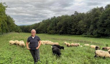 USDA restores contract with Pa. farm group Pasa