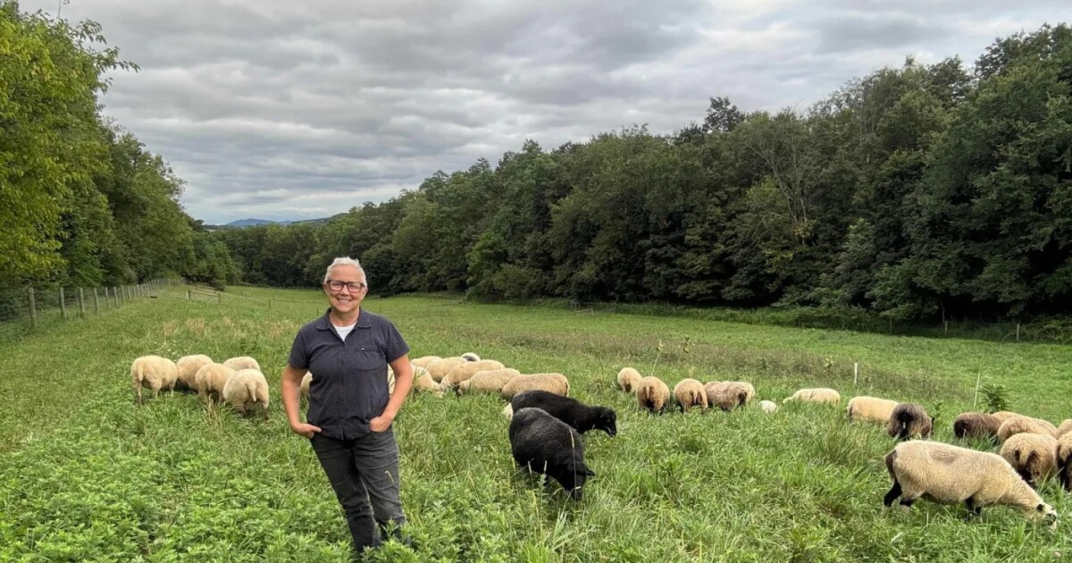 USDA restores contract with Pa. farm group Pasa