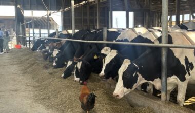 Pa. farm-to-food bank program in federal Farm Bill advances