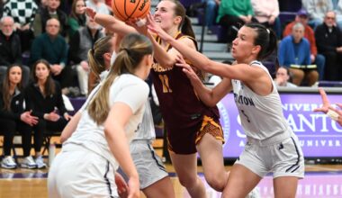 Concordia's 'historic' women's hoops season ends with D-III quarterfinal loss - InForum