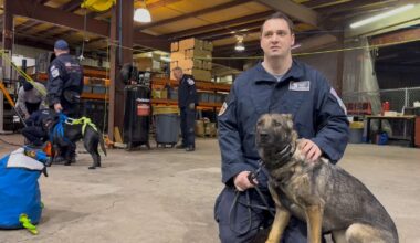 Rescue dogs to join Pittsburgh-area urban search team – Butler Eagle