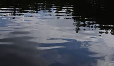 ALCOSAN says to stay out of Pittsburgh-area waterways for 48 hours after power outage at plant