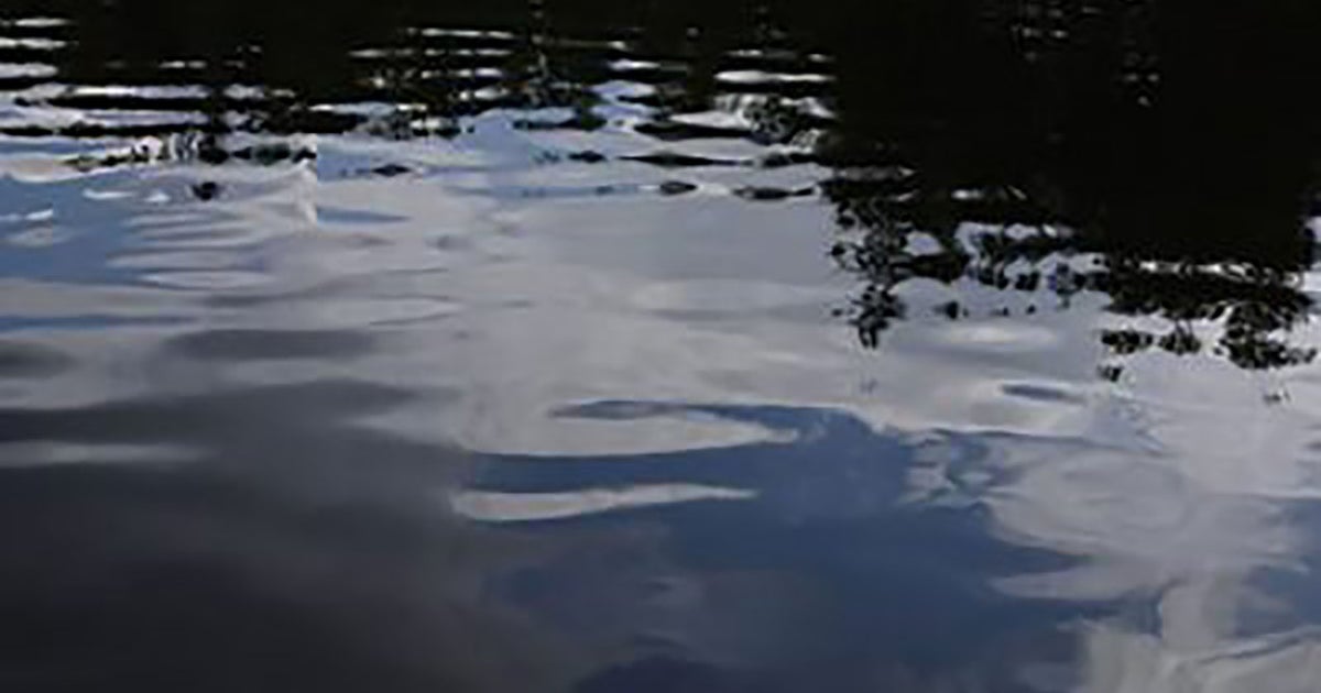 ALCOSAN says to stay out of Pittsburgh-area waterways for 48 hours after power outage at plant