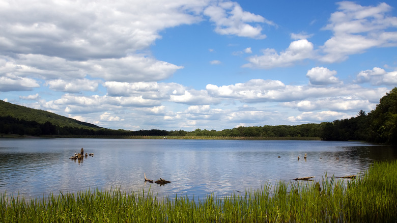 Clouds and blue sky reflect in a lake surrounded by mountains and grassy banks.