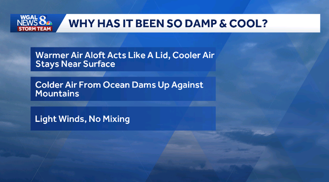 damp & cool explainer