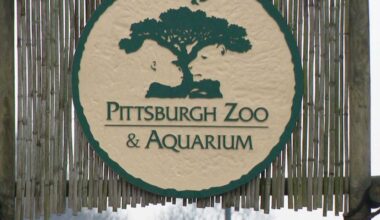 Pittsburgh Zoo eyes new standalone aquarium in North Shore