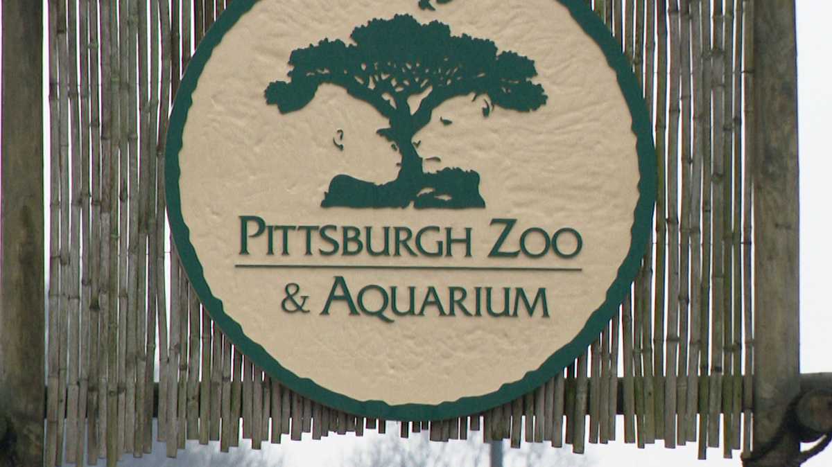 Pittsburgh Zoo eyes new standalone aquarium in North Shore