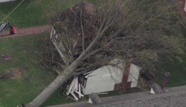 Tree falls on building at historic Old Economy Village in Pennsylvania