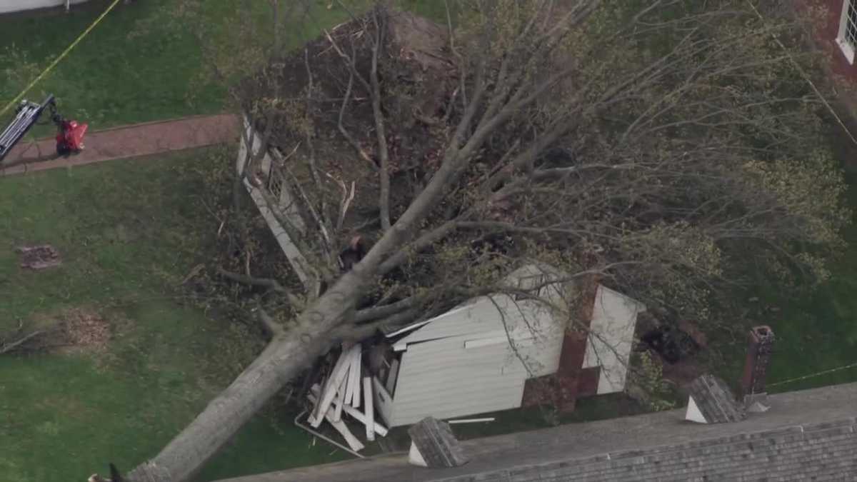 Tree falls on building at historic Old Economy Village in Pennsylvania