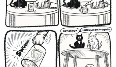 Fish That Talk: You Go Back Jack...