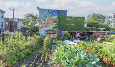 40 Urban Gardening Ideas for Your Philly Back Yard