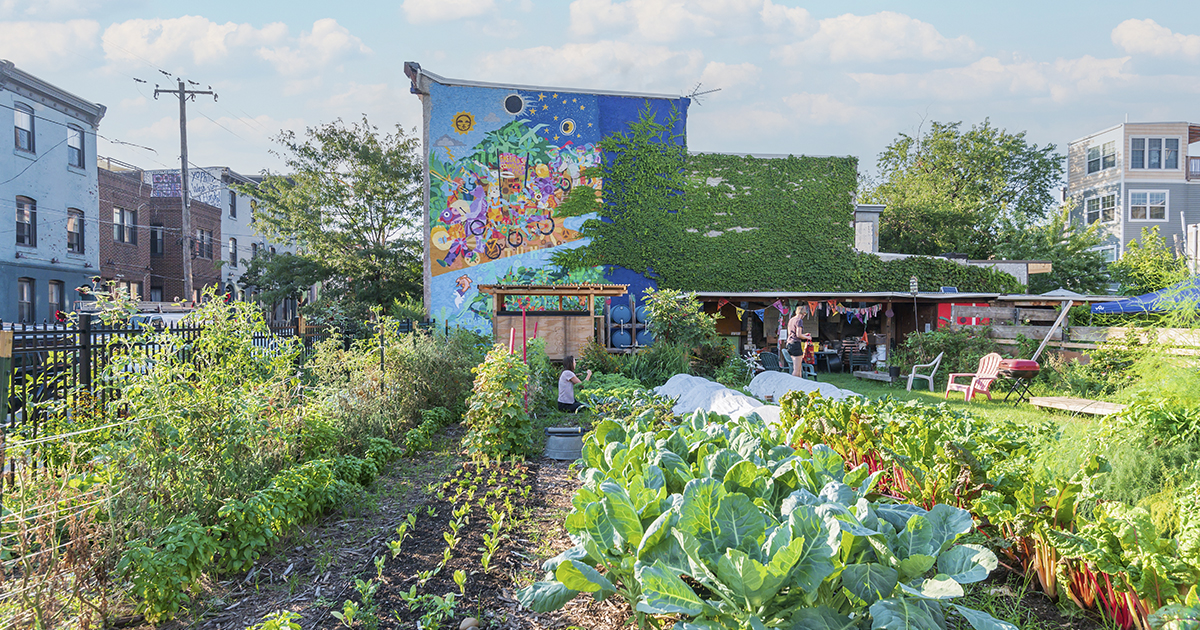 40 Urban Gardening Ideas for Your Philly Back Yard