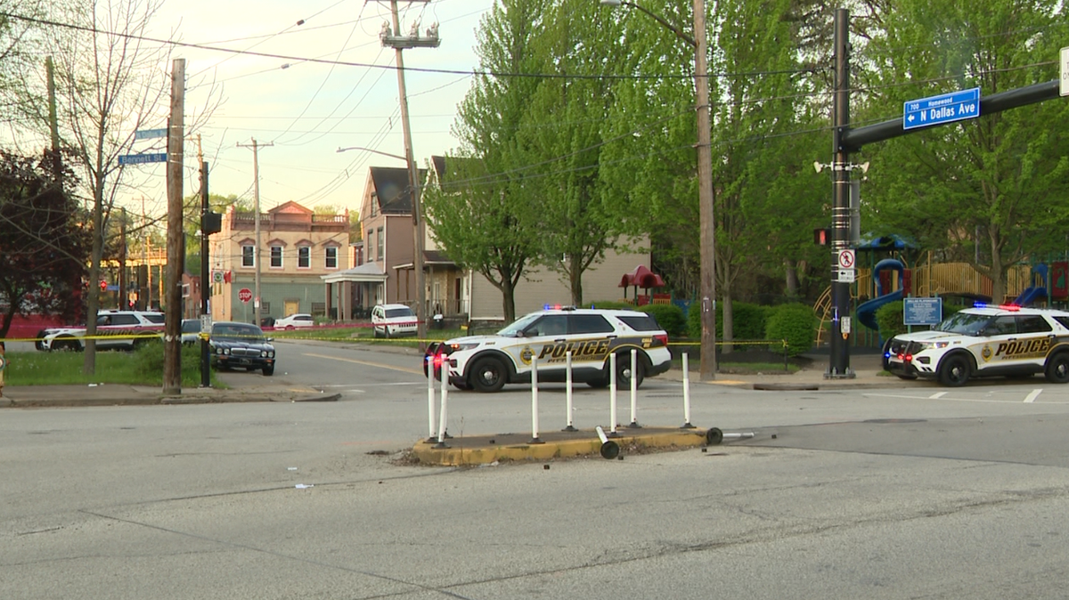 Two men critically injured in Homewood West shooting