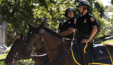 Friends of the Bethlehem Mounted Police secure $50,000 in funding