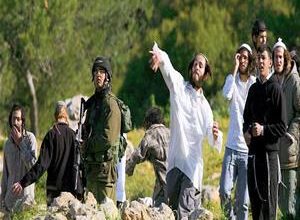 Palestinian injured in colonist attack near Bethlehem village