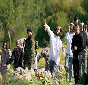 Palestinian injured in colonist attack near Bethlehem village