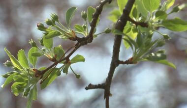 Allergy season is hitting Philadelphia early due to warmer temps. Here's what doctors recommend.