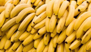 'Yes...96 bananas': Men steal dozens of bananas from Pennsylvania Wawa, police say