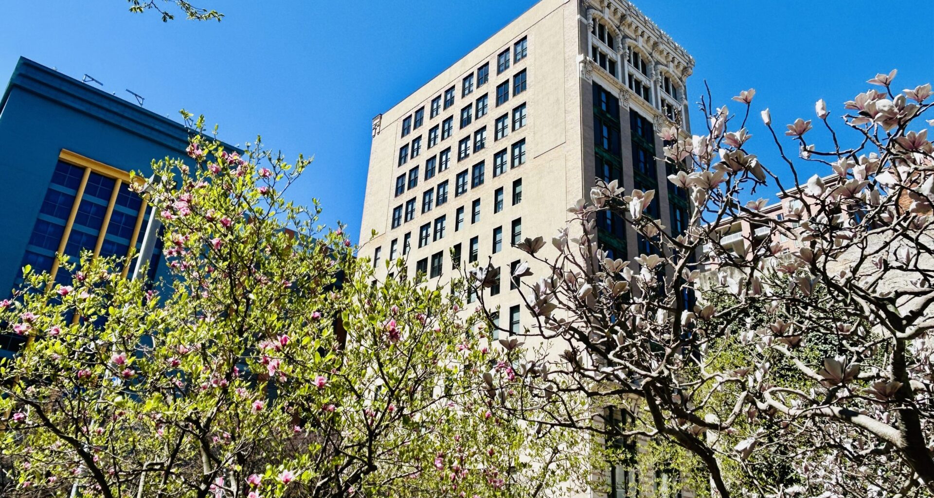 Pittsburgh jobs for 4/13/26: Tree Pittsburgh, Dancing Gnome