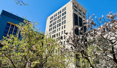 Pittsburgh jobs for 4/13/26: Tree Pittsburgh, Dancing Gnome