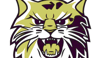 Baseball Recap: Bethlehem Comes Up Short