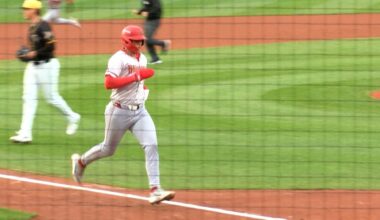 SeaWolves’ rally falls short in 11-9 home loss to Harrisburg