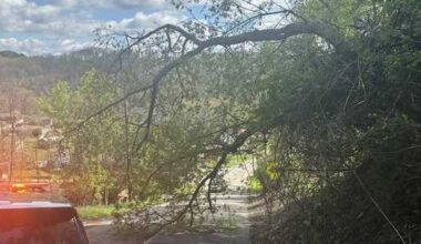 Kenneth Drive between Mt. Royal Boulevard, Emma drive closed