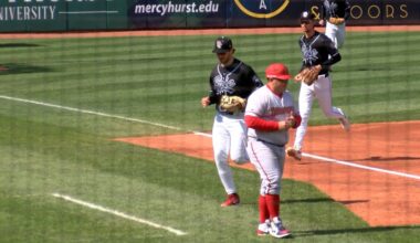 SeaWolves wrap up Harrisburg series with Sunday split