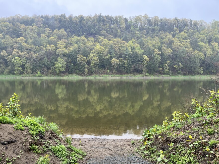 A photograph of a river, taken from the bank, with a wooded hillside on the other side of the river. The trees reflect in the water.