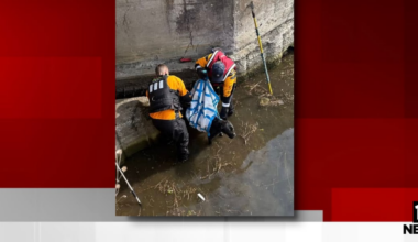 Dog rescued after swimming into drainage area off Lake Erie