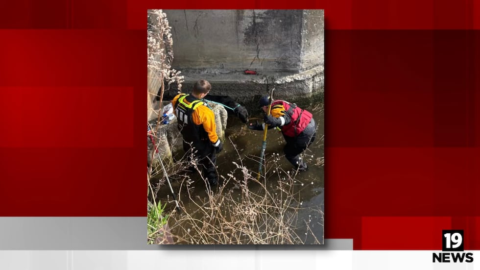 Dog rescued after swimming into drainage area off Lake Erie