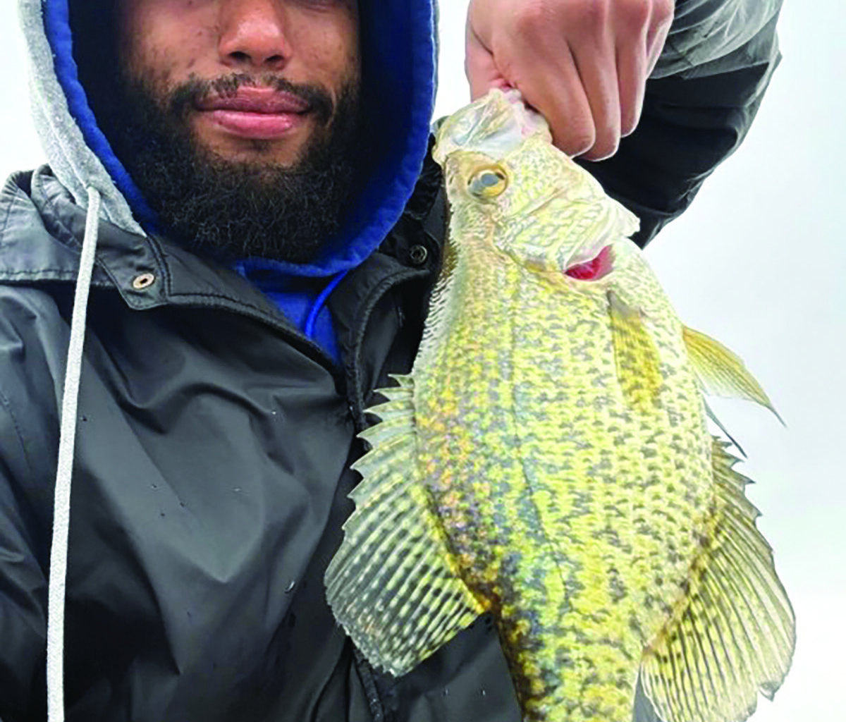 Rod, Gun & Game: DEC State of Lake Erie Meeting