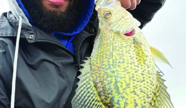 Rod, Gun & Game: DEC State of Lake Erie Meeting