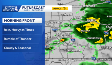 Showers early, cooler conditions later