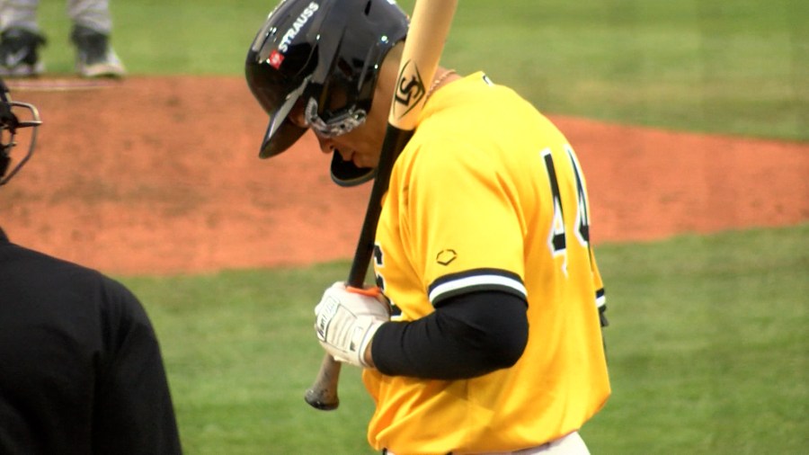 Liranzo returns, SeaWolves fall 11-3 against Baysox in series opener