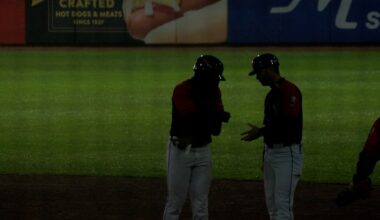 Peck, Pacheco homer in SeaWolves’ 7-3 win over Baysox