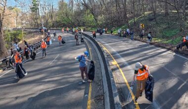100+ volunteers clear trash off Lincoln Drive in Philadelphia