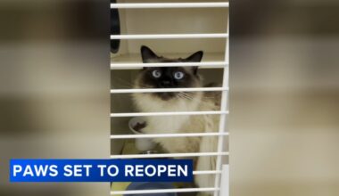 Philadelphia Animal Welfare Society reopens shelter after deadly Grays Ferry parking garage collapse