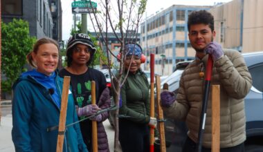 Pennsylvania Horticultural Society plants 600 trees across the area with help from 'Tree Tenders'