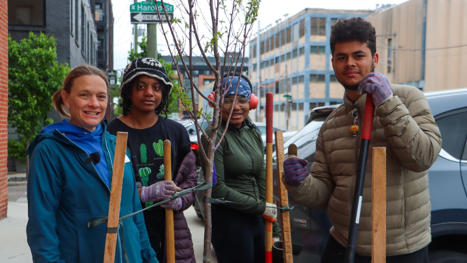 Pennsylvania Horticultural Society plants 600 trees across the area with help from 'Tree Tenders'