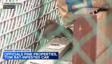 State Rep. Jared Solomon responds to rat infestation problem in Mayfair section of Philadelphia