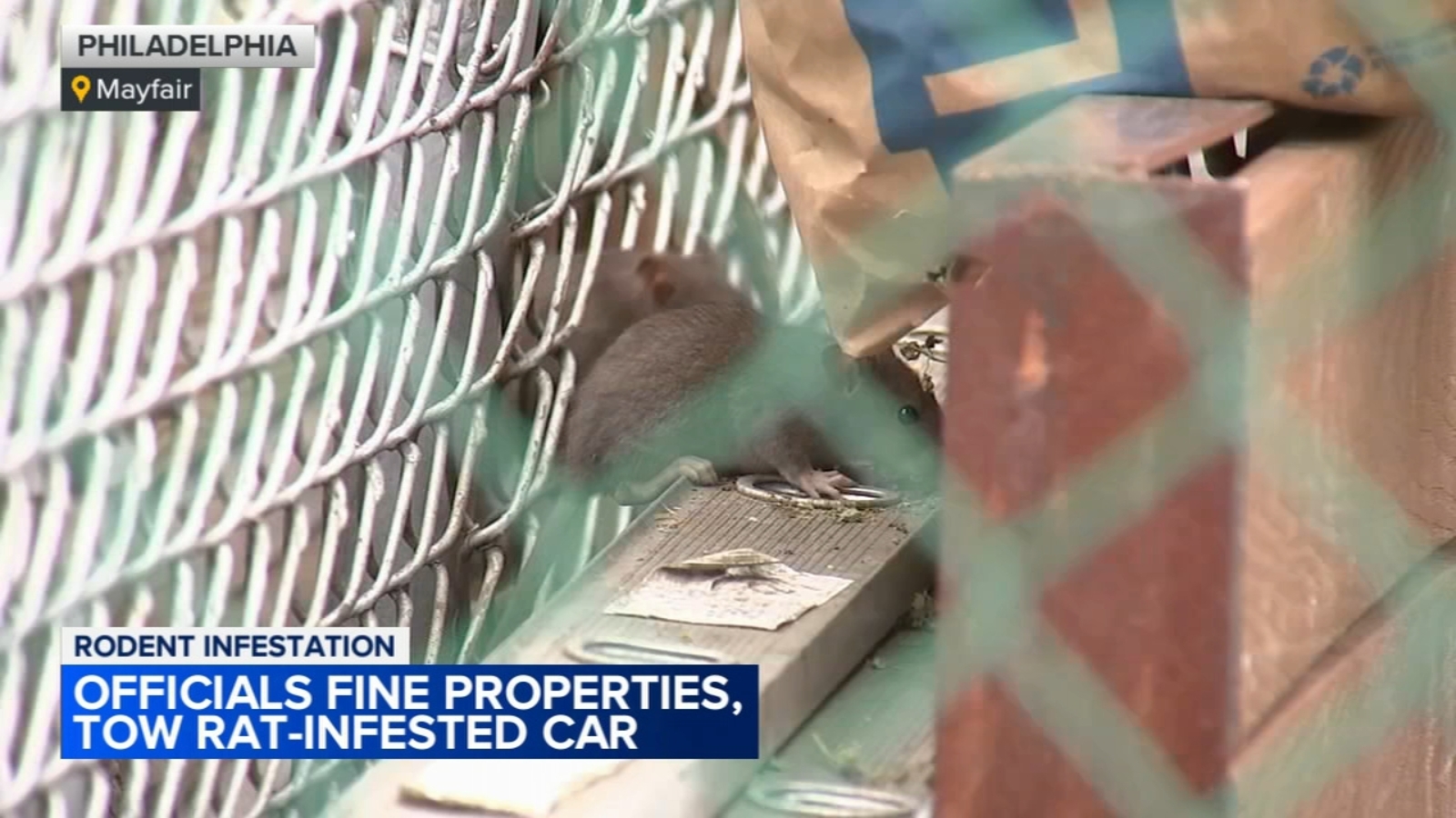 State Rep. Jared Solomon responds to rat infestation problem in Mayfair section of Philadelphia